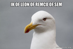 Stuff That Didn't Happen Seagull