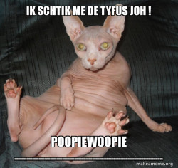 Hairless Cat