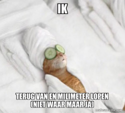 Pampered Cat Meme
