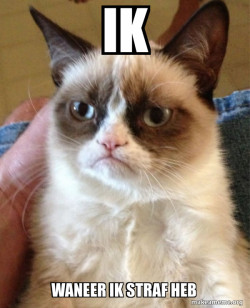 Grumpy Cat