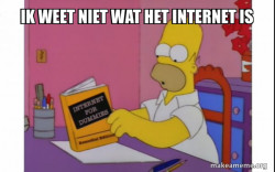 stupis homer