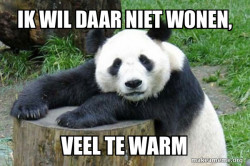 Confession Panda