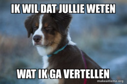 Unsure Dog