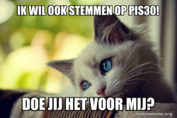 First World Cat Problems