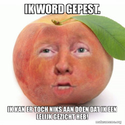 Impeached Donald Trump