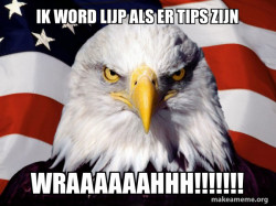 American Pride Eagle