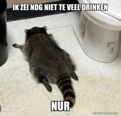 dronken nur