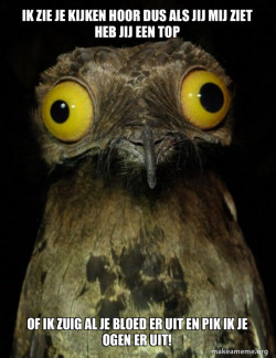 Weird Stuff I do Potoo