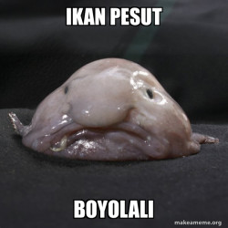 Blobfish