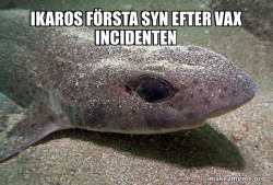 Dirty Joke Dogfish