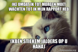 First World Cat Problems