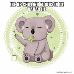 Aussie Koala doing the night shift