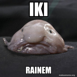 Blobfish