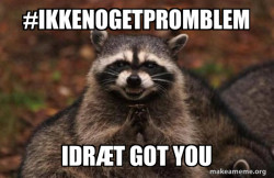 Evil Plotting Raccoon
