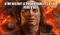 Frodo it's over it's done