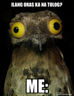 Weird Stuff I do Potoo