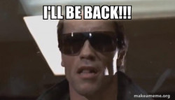 The Terminator