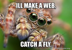 Hipster Spider