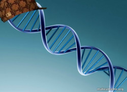 Illegal Genetics