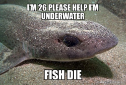Dirty Joke Dogfish