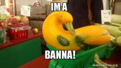 Gourd Advice Mallard