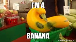 Gourd Advice Mallard
