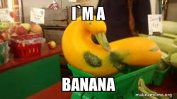 Gourd Advice Mallard