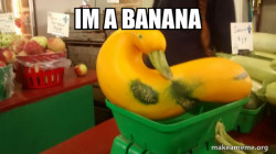 Gourd Advice Mallard