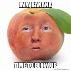 Impeached Donald Trump