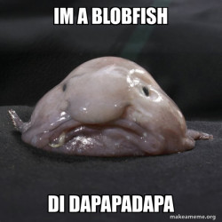 Blobfish