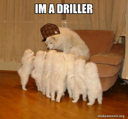 Scumbag Storytelling Dog