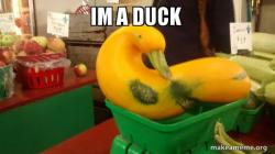 Gourd Advice Mallard