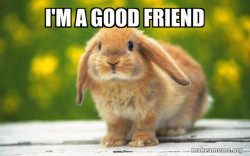 Regretful Rabbit