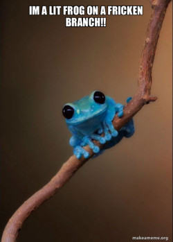 Small Fact Frog