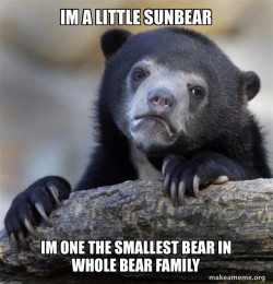 sunbear