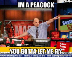 Mad Karma with Jim Cramer