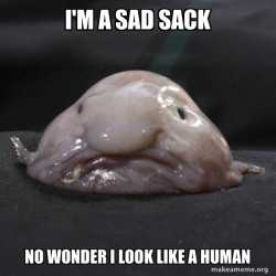 Blobfish