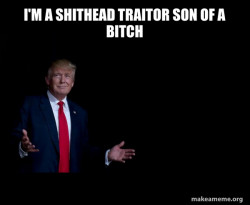 Trump Everything is FIne