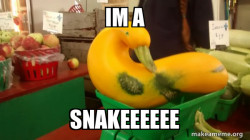 Gourd Advice Mallard