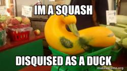 duck duck 