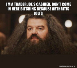 Hagrid - I should not have said that