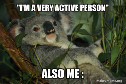 Laid Back Koala