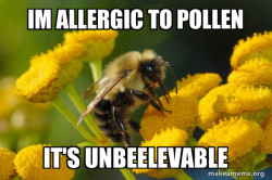 Good Guy Bee