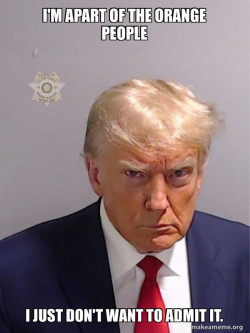 Donald Trump Mugshot