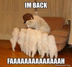 Scumbag Storytelling Dog