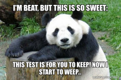 Confession Panda