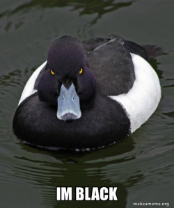 Revenge Duck ( Angry Advice Duck )