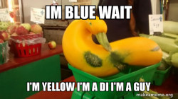 Gourd Advice Mallard