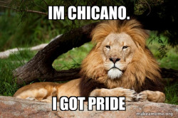 Contemplative Lion