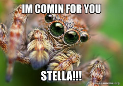 Hipster Spider